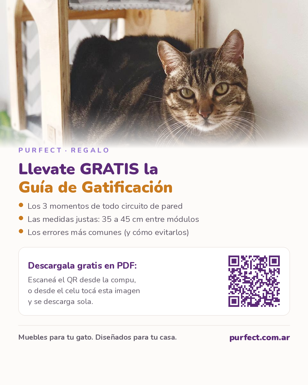 Descargá gratis la Guía de Gatificación de Purfect