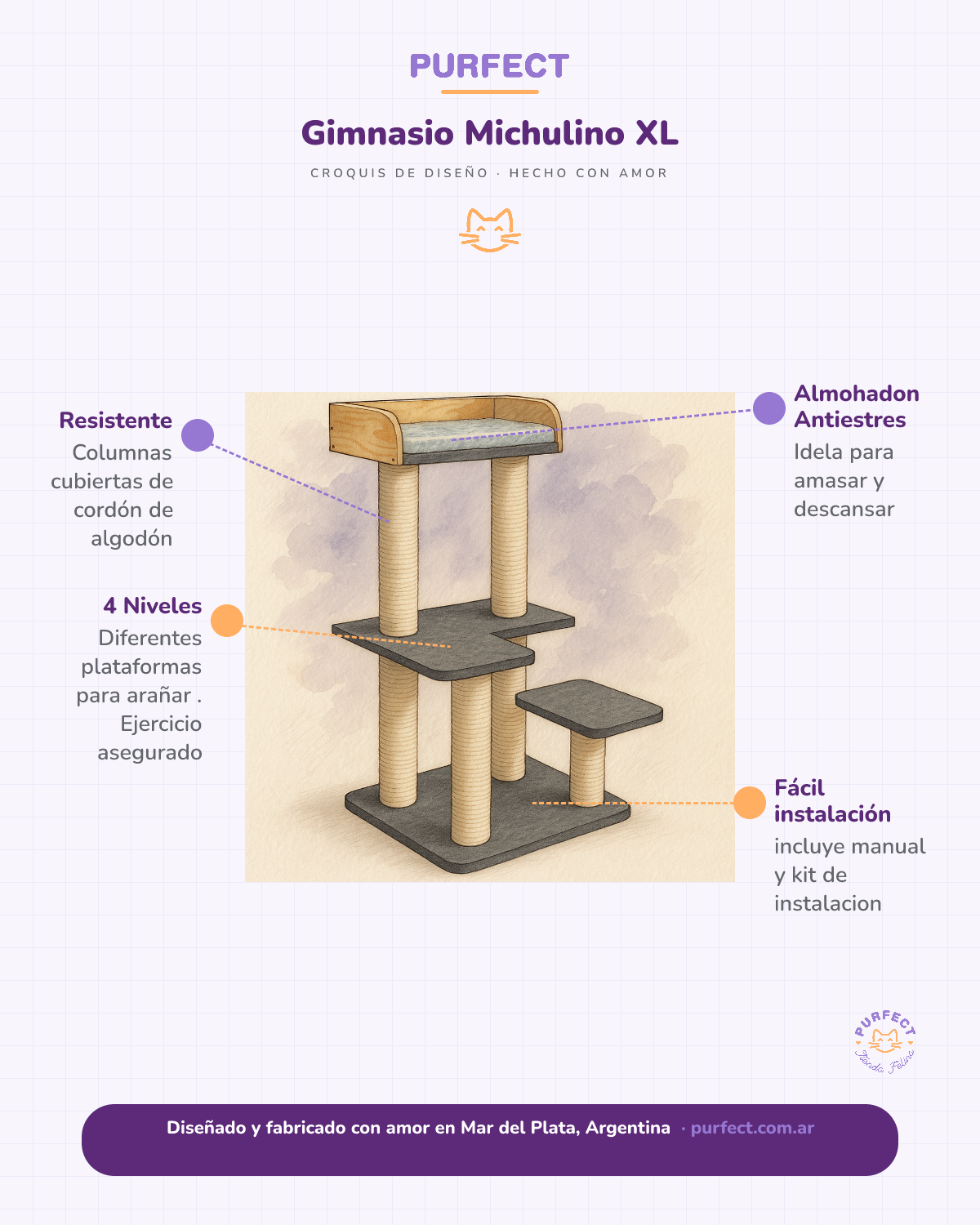 Beneficios Gimnasio Michulino XL